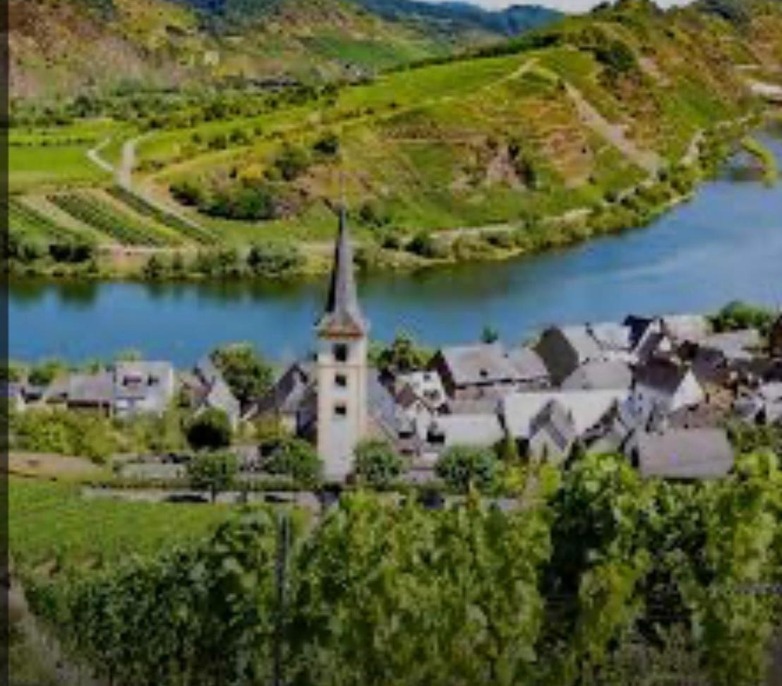 Ferienwohnung Eifel Mosel Hunsrueck Bergweiler Dış mekan fotoğraf